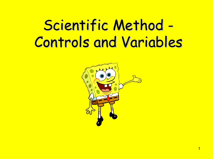 smartpls control variable